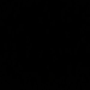 Meet your Posher, Jackson